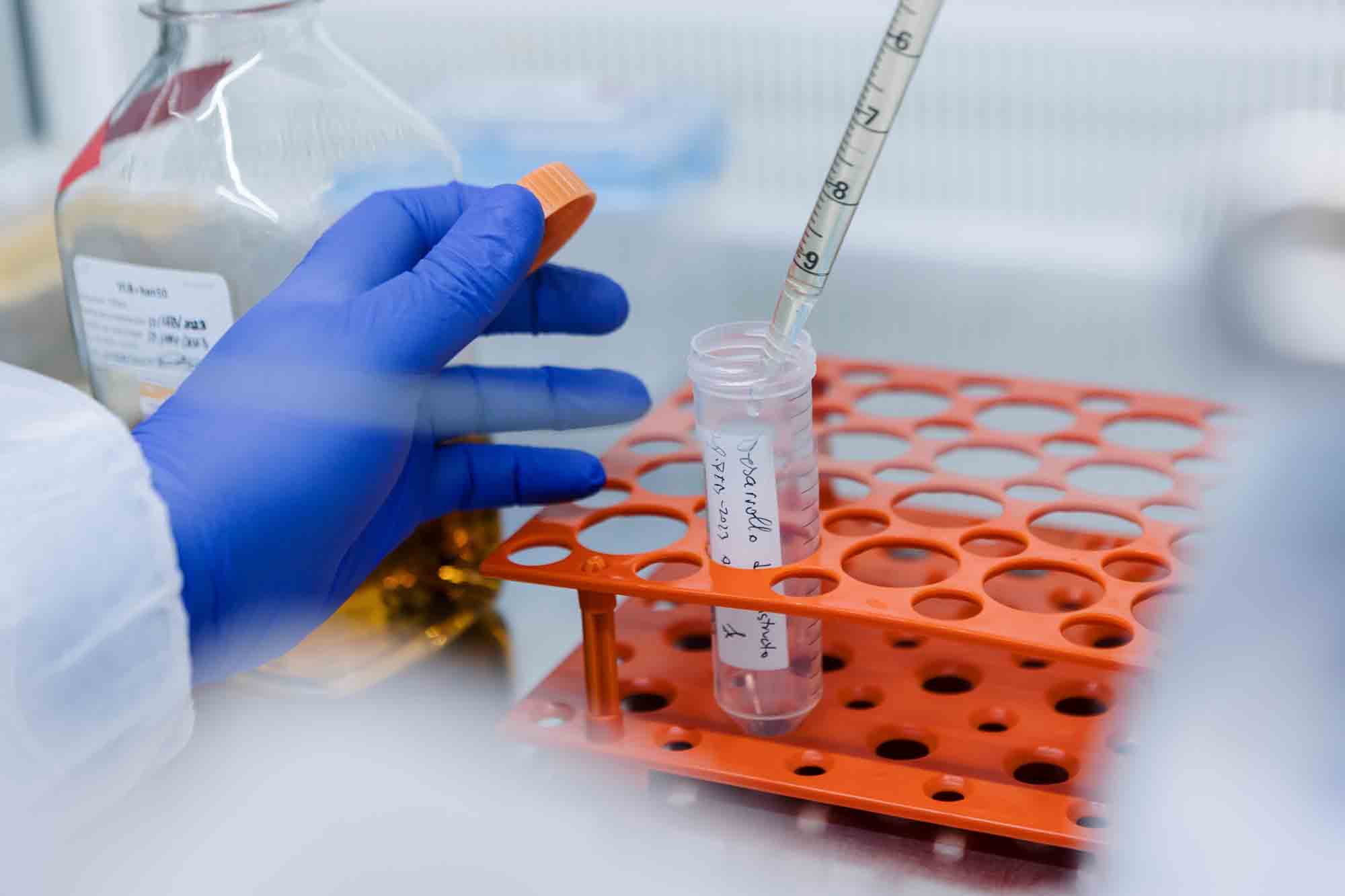 Taav_Editadas__2000px_sRGB_0125