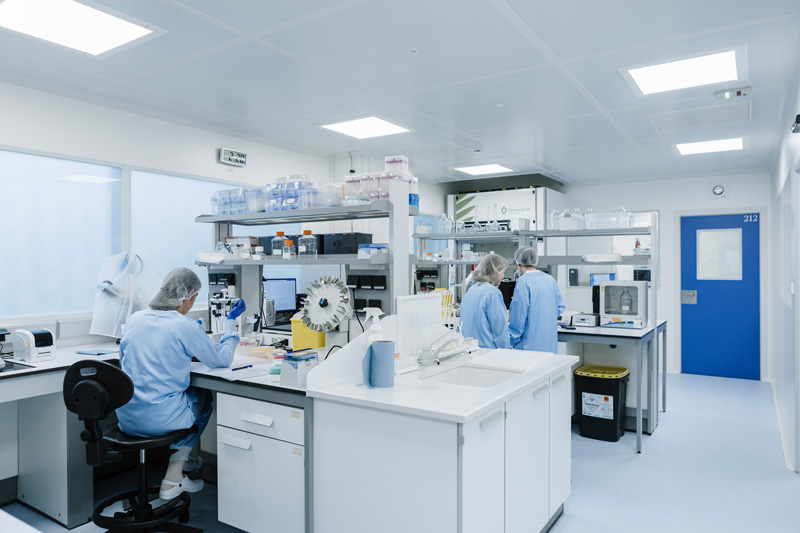 Enzymatic DNA Production