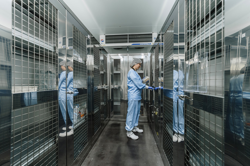 Enzymatic DNA Production